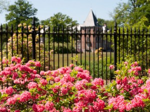 Kasteel Twickel - Delden - Hof van Twente