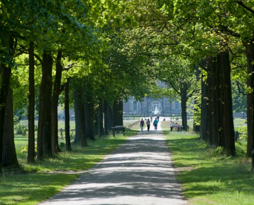 Twickelse bossen - Delden