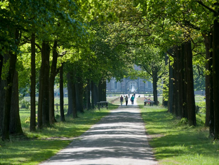 Twickelse bossen - Delden