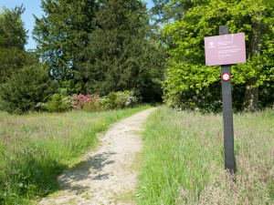 landgoed Twickel Delden