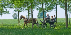 Met de koets over landgoed Twickel