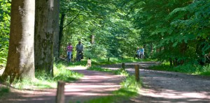 Fietsen op landgoed Twickel