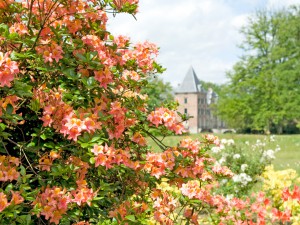 Kasteel Twickel - Hotel het Wapen van Delden