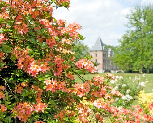 Kasteel Twickel - Hotel het Wapen van Delden