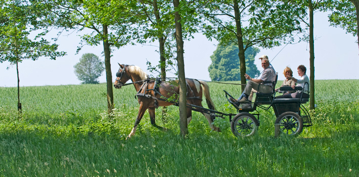 Met de paardenkoets op landgoed Twickel