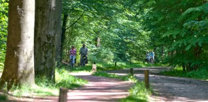 Fietsen in Delden en omgeving